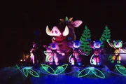 Pumba en la versión de "Fantsmic!" de Tokyo Disneyland