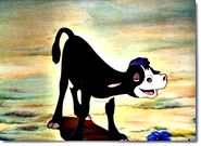 Ferdinand as a young calf.