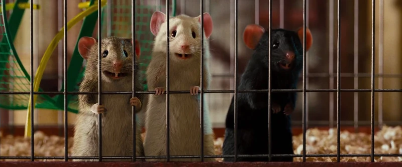 The Mice