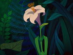 Alice-in-wonderland-disneyscreencaps.com-3102