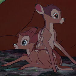 Figli di Bambi