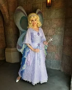 DLBF.jpg (170 KB) Disneyland 2005-2018. This Blue Fairy costume was used during Disneyland's 50th Anniversary and was formerly used for meet and greets.