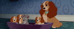 Lady-tramp-disneyscreencaps.com-8492