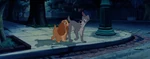 Lady and Tramp walking on a street