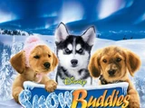 Snow Buddies