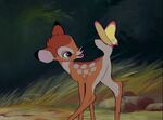 Bambi finds the butterfly on his tail