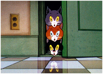 Fluffy, Muffy, and Tuffy