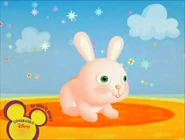 Oso 08A.png (921 KB)