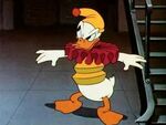 Donald Duck is annoyed he switched clothes with Jack in the Box.