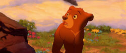 Brother-bear-disneyscreencaps