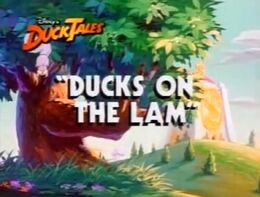 DucksontheLam - 04