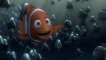 Marlin sees Nemo alive