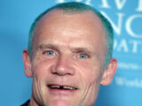 Flea