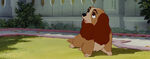 Lady-tramp-disneyscreencaps.com-2356