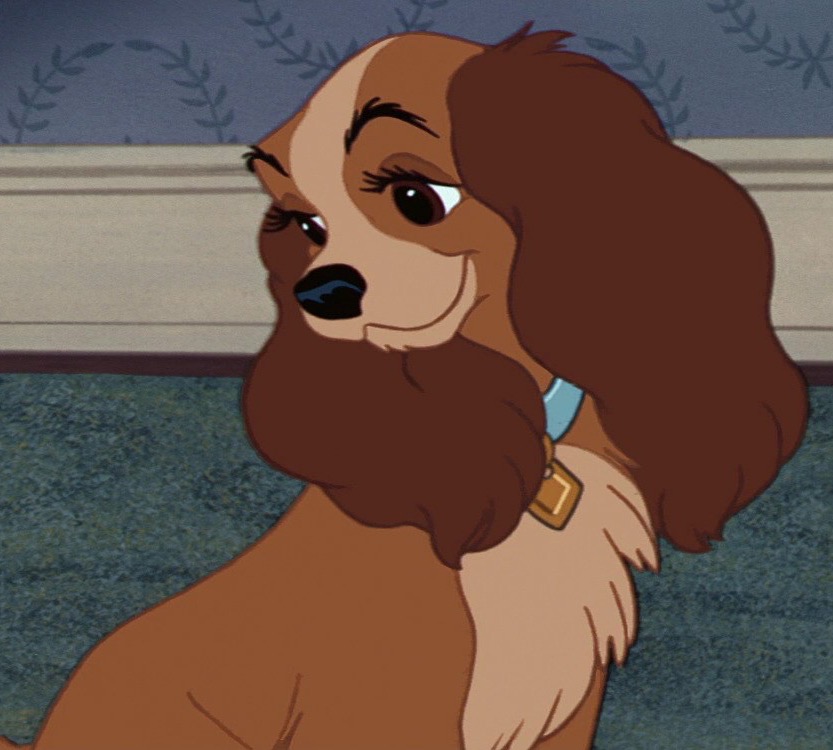 what dog breed is lady in lady and the tramp