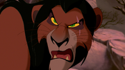 Scar tlk
