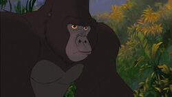 tarzan 1999 screencaps