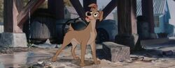 Tramp-disneyscreencaps.com-1487