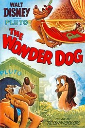 pluto the wonder dog