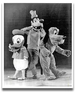 Disney on Parade 1973