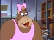 KooKoo (Chip 'n Dale Rescue Rangers)