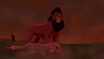 Kovu finds Kiara unconscious by the wildfire
