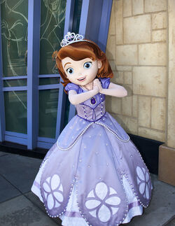 Disney Sofia the First Ribbon