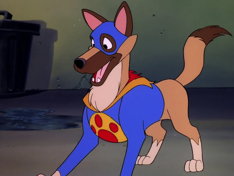 Flash the Wonder Dog