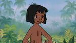 Mowgli