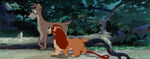 Lady-tramp-disneyscreencaps.com-4613