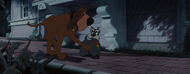 Lady-tramp-disneyscreencaps.com-7087