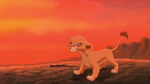 Lion-king2-disneyscreencaps.com-2324