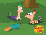 Phineas Ferb Art 2.jpg (30 KB)