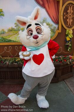 https://static.wikia.nocookie.net/disney/images/0/08/White_Rabbit_Character_Central.jpg/revision/latest/scale-to-width-down/250?cb=20160803203015