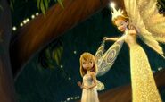 Born-tinkerbell