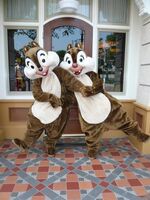 Chip and dale kostuemideen