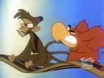 Angry Abu and Iago on Carpet