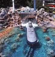 Submarine in its original military grey color