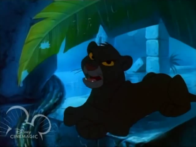 bagheera