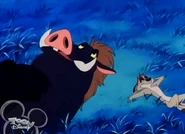 Baampu and Timon stargaze