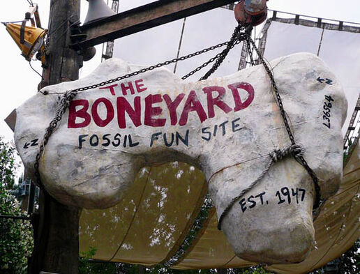 The Boneyard Playground at Disney's Animal Kingdom