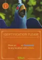 Identification