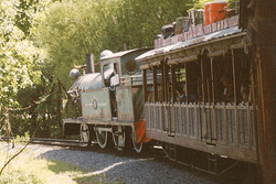 Wildlife Express Train | Disney Wiki | Fandom Wildlife Express Train | Disney Wiki | Fandom