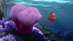 Finding-nemo-disneyscreencaps.com-17