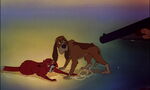 Fox-and-the-hound-disneyscreencaps.com-8965
