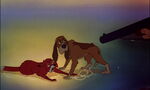 Fox-and-the-hound-disneyscreencaps.com-8965