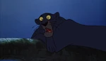 Bagheera wakes up