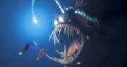 Anglerfish about to attack Marlin and Dory