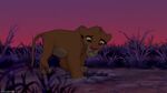 Simba stepping in Mufasa's paw print