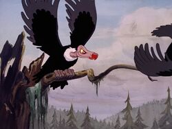 vulture cartoon disney